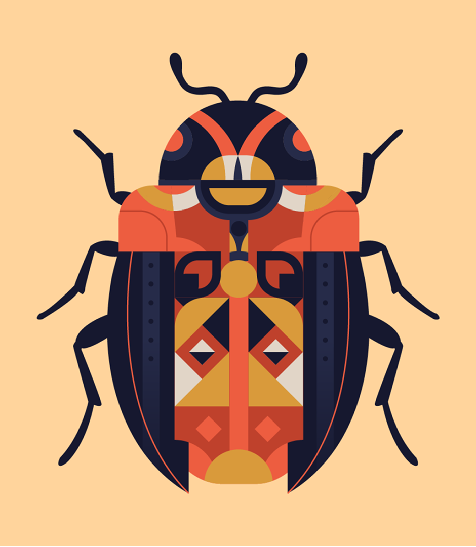 Geometric beetle